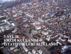 Kredi  kullanımında artış